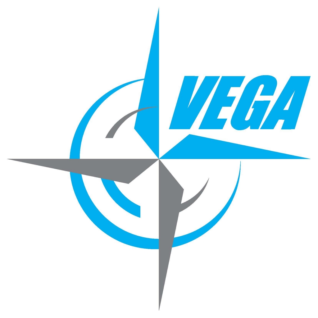 VegaVision